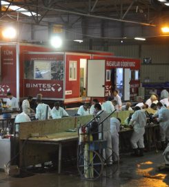 Bimtes Hasar Restorasyonu